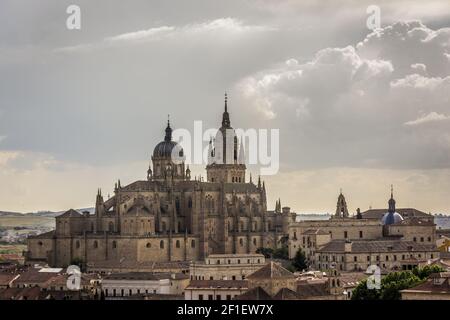 Neue Kathedrale, eine der beiden Kathedralen von Salamanca, Spanien. Stockfoto