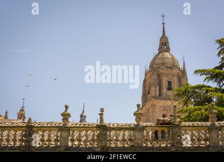 Glockenturm der Neuen Kathedrale, eine der beiden Kathedralen von Salamanca, Spanien. Stockfoto