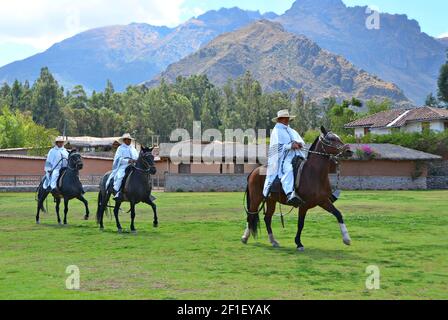 Einheimische peruanische Gauchos reiten ihre Paso Pferde in der Landschaft des Valle Sagrado in Cuzco, Peru. Stockfoto