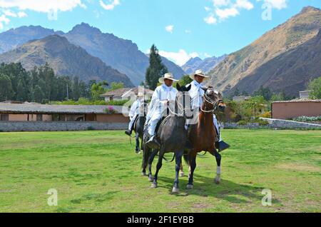 Einheimische peruanische Gauchos reiten ihre Paso Pferde in der Landschaft des Valle Sagrado in Cuzco, Peru. Stockfoto