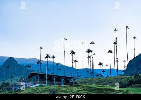 Cocora Valley, Salento, Quindío, Kolumbien Stockfoto