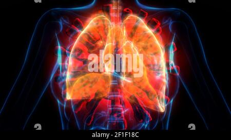 cg Medizin 3D Illustration, menschliche Lungen Probleme von covid-2019 Stockfoto