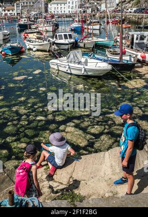 Kinder mit Fischernetz an der Hafenmauer Cornwall Stockfoto