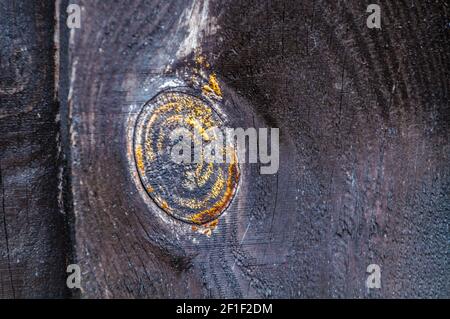 Holzknoten in einem Zaun Nahaufnahme Stockfoto