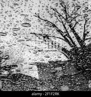 Spiegelung von Regen und Baum in Glas schwarz und weiß Stockfoto