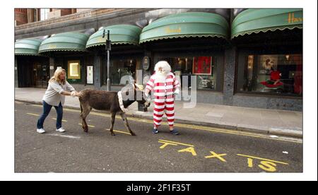 Vater Weihnachten und sein Seesel Dino posieren für Fotos vor einem schneebedeckten Harrods, bevor sie die Gäste am 9. August 2005 in London, England, im dritten Stock des Knightsbridge Stores auf eine Tour durch die Weihnachtswelt nehmen. Über 15.000ft qm Fläche sind Weihnachten im gesamten Geschäft gewidmet. Mit einer künstlichen Schneemaschine, die gegen die Sommerwärme kämpft, kommen Pater Christmas und sein Seesel Dino vor einem schneebedeckten Eingang nach Harrods zum Start von Christmas World im Knightsbridge Store in London an. Bild David Sandison 9/8/2005 Stockfoto