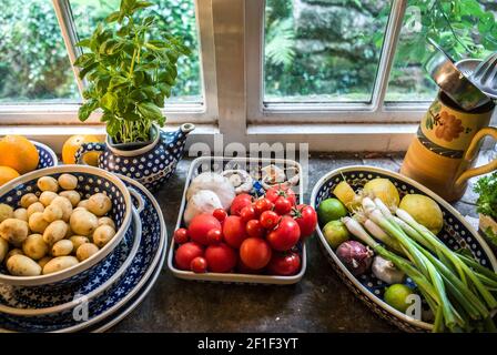 Fensterbrett mit frischem Obst und Gemüse Minze Knoblauch Tomaten Orangen Pilze rote Zwiebel Limetten Zitronen Frühling Zwiebeln neue Kartoffeln Stockfoto