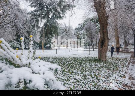 Schneebedeckte Retiro-Park. Madrid, Spanien. Stockfoto