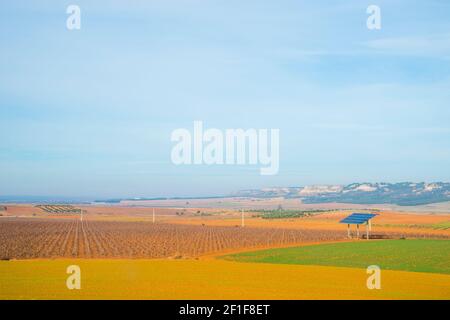 Anbau Felder. La Guardia, Provinz Toledo, Kastilien-La Mancha, Spanien. Stockfoto