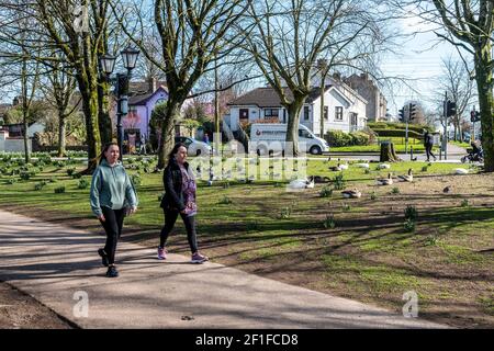 Cork, Irland. März 2021, 8th. Die Menschen stiegen heute an einem kalten, aber sonnigen Tag auf den Lough in Cork ab. Die meisten Menschen beobachteten soziale Distanzierung. Quelle: AG News/Alamy Live News Stockfoto