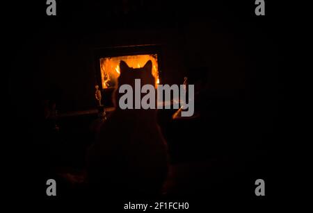 Silhouette einer Katze, in der Nähe des Kamins, mit zwei Ballonflaschen Wein, mit Luftschlösser Stockfoto