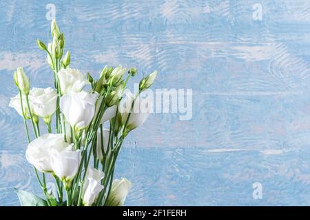 Schöne weiße eustoma Blumen isoliert auf weißem Hintergrund. Weiße zarte kleine Rosen auf blauem Holzhintergrund, Kopierraum. Grußkarte für Mo Stockfoto