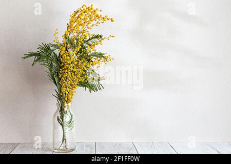 Ein Blumenstrauß aus Mimosen in einer Glasvase auf hellgrauem Hintergrund. Frühlingskomposition mit interessanten Schatten, Kopierraum. Stockfoto