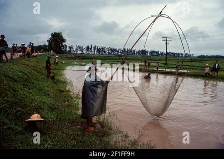 Dorfbewohner, die in den Fischteichen mit Netzen und Fischkörben fischen, ländliches Südvietnam, Juni 1980 Stockfoto