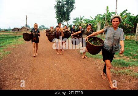 Dorfbewohner auf dem Weg zum Fischen im lokalen Fluss mit ihren Fischkörben, ländliches Südvietnam, Juni 1980 Stockfoto