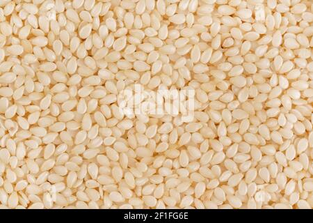 Weißer Sesam - Sesamum indicum - Samen Nahaufnahme aus Oben Stockfoto