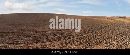 Regelmäßige Kamm- und Furchen-Linien auf leerem Feld im Herbst vorbereitet, hohe Auflösung breites Panorama mit blauem Himmel und Wolken darüber, Landwirtschaft Boden culti Stockfoto