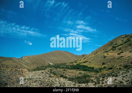 Provinz Neuquen, Patagonien Argentinien (gescannt von Farblider) Stockfoto