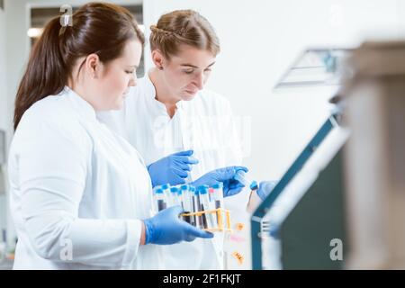 Wissenschaftlerinnen betrachten Proben im Reagenzglas Stockfoto