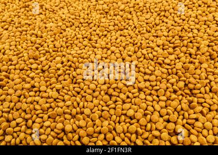 Vollformat Hintergrund von kleinen trockenen orange Katze Futter Krockets Nahaufnahme mit selektivem Fokus Stockfoto