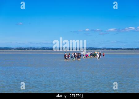 Mont Saint Michel, Frankreich - 29. August 2019: Wandergruppe bei Ebbe in der Bucht auf dem Mont Saint-Michel in der Basse-Normandie, Frankreich Stockfoto