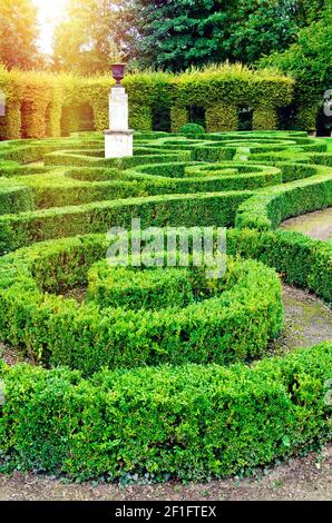 Schöner Labyrinth-Garten in Frankreich Stockfoto