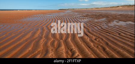 Ebbe am Strand von Seaton Sluice, Seaton Sluice, Northumberland, England, Großbritannien Stockfoto