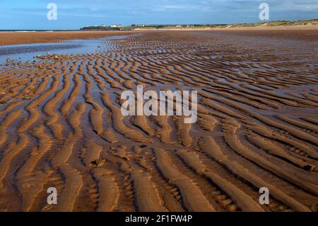 Ebbe am Strand von Seaton Sluice, Seaton Sluice, Northumberland, England, Großbritannien Stockfoto