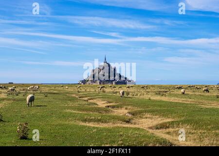 Mont Saint Michel, Frankreich - 29. August 2019: Schafschar auf Feldern vor der Abtei Mont Saint Michel in der Basse-Normandie, Frankreich Stockfoto