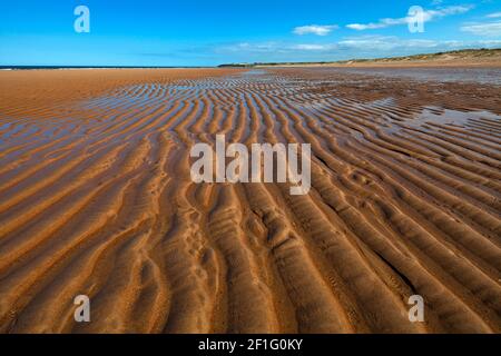 Ebbe am Strand von Seaton Sluice, Seaton Sluice, Northumberland, England, Großbritannien Stockfoto