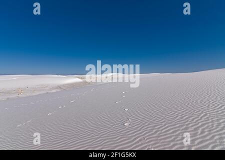 Weiße Sanddünen zeigen Windwellen in Formationen von Gipshügeln im National Monument Park im Südwesten nordamerikas mexiko Naturgebiet. Stockfoto