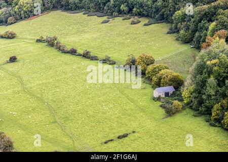 Herbst im Wye Valley - Schafe grasen neben einer Scheune an den Hängen des Coppett Hill von Symonds Yat Rock, Herefodshire UK aus gesehen Stockfoto