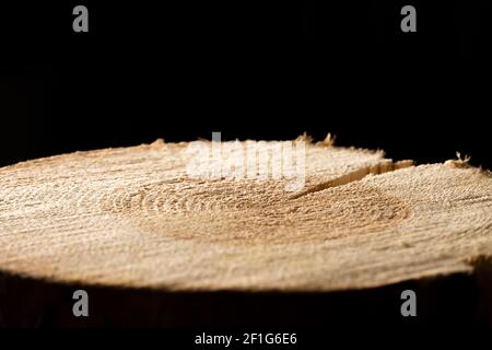 Großes rundes Stück Holz mit einem Querschnitt mit einem konzentrischen Muster aus Holzmaserung und Rissen auf schwarzem Hintergrund. Hintergrund. Stockfoto