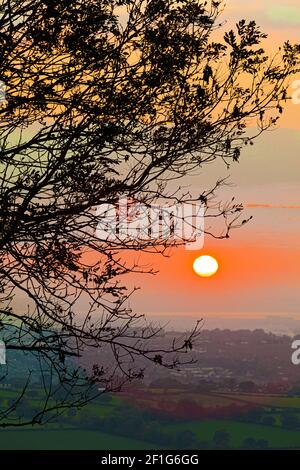 Der Sonnenuntergang über dem Fluss Severn in Gloucestershire UK, durch einen Baum am Coaley Peak Picnic Site auf dem Cotswold Scarp gesehen Stockfoto