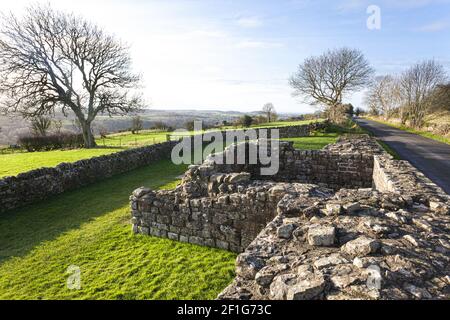 Banks East Turret on Hadrians Wall near Lanercost, Brampton, Cumbria UK Stockfoto