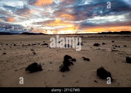 Sonnenuntergang über den Sanddünen von Corralejo (Parque Natural de las Dunas), Fuerteventura, Kanarische Inseln Stockfoto