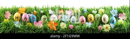 Leuchtend bunte Ostereier sagen Frohe Ostern auf grünem Gras mit Blumen Stockfoto