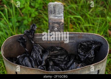 Hundemüll in einem Abfalleimer aufgeräumt Stockfoto