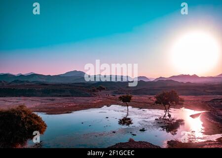 Ein kleiner Teich mit Reflexen von Bäumen in den Vereinigten Arabischen Emiraten Stockfoto