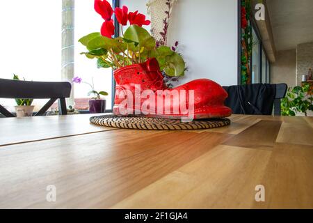 Wunderschöne Blumen im Zimmer auf dem Tisch Stockfoto