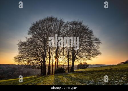 Spätwinter Sonnenuntergang über den Chilterns bei Chesham, Buckinghamshire, England Stockfoto