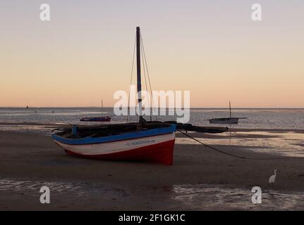 Weißreiher vor bunten beachzten Booten, Mosambik Stockfoto