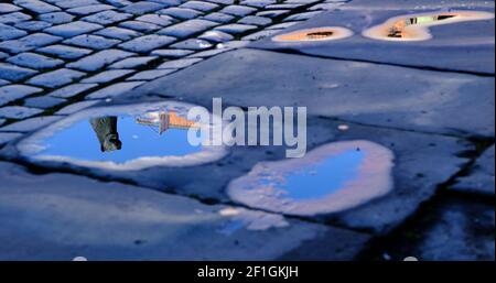 Braunschweig, Deutschland. März 2021, 08th. Die Statue des Braunschweiger Löwen, eine Kopie des historischen Originals, das im Landesmuseum steht, spiegelt sich in einer Pfütze am Burgplatz wider. Quelle: Stefan Jaitner/dpa/Alamy Live News Stockfoto
