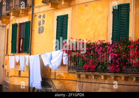 Hängewaschanlage neben Geranien in Fontecchio, Abruzzen, Italien. Stockfoto