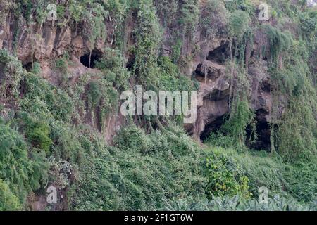 Berghöhlen von La Palma Stockfoto