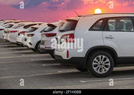 Autos für Verkauf Lager viel Zeile. Auto Dealer Inventory Stockfoto