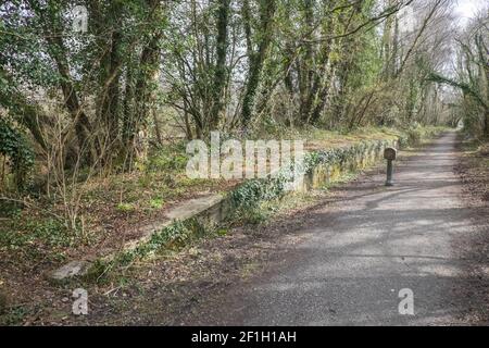 Original, Plattform, ruhig, sichtbar, an, was war Llanilar Bahnhof auf Great Western Railway Zweiglinie. Jetzt auf dem Ystwyth Trail, ein 21 Meilen, 34 Kilometer, Mehrzweckpfad, genutzt, von Hundewanderern, Wanderern, Spaziergängern, Radfahrern, Joggern und teilweise Pferdeschwestern, für Reiter. Die ehemalige Traillinie verbindet die studentische Küstenstadt Aberystwyth,ON, Cardigan Bay, mit Tregaron,both,in Ceredigion. Der Weg verläuft meist entlang des Flusses Ystwtyh. Foto aufgenommen zwischen Llanilar Dorf und Transgoed, ländlich, Landschaft, Landschaft, Ceredigion, Wales, Walisisch, Großbritannien, GB, Stockfoto