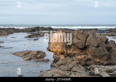 Curio Bay Cliffs und Porpoise Bay, der Ort von prähistorischen versteinerten Baumstämmen und einem versteinerten Wald an der Küste des südlichen Pazifischen Ozeans Stockfoto