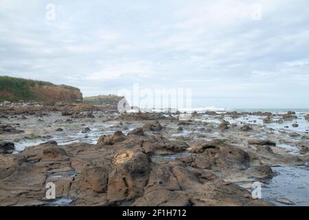 Curio Bay Cliffs und Porpoise Bay, der Ort von prähistorischen versteinerten Baumstämmen und versteinerten Wäldern an der Küste des südlichen Pazifischen Ozeans Stockfoto