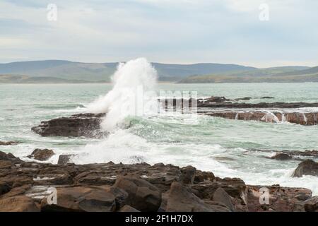 Pazifische Ozeanwellen, die an Felsen zerschmettern und Wasser in der Porpoise Bay von Neuseeland, den Catlins, spritzen Stockfoto